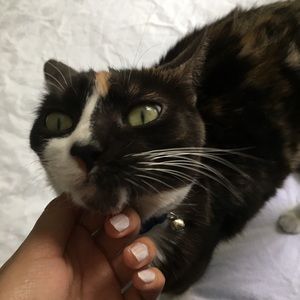 Meet your Posher, Paulette